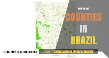 Exploring Brazil's Administrative Divisions: A Guide to Its Counties