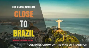 Exploring Brazil's Neighbors: How Many Countries Border This South American Giant?