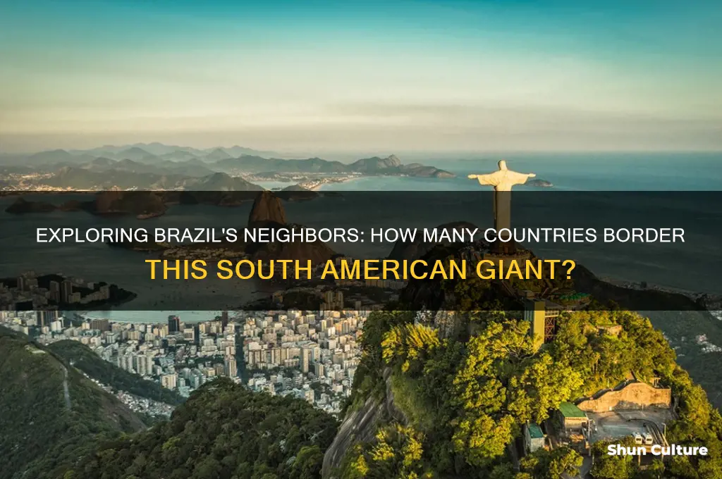 how many countries are close to brazil