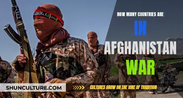 A Coalition of Countries: The Many Participants in the Afghanistan War