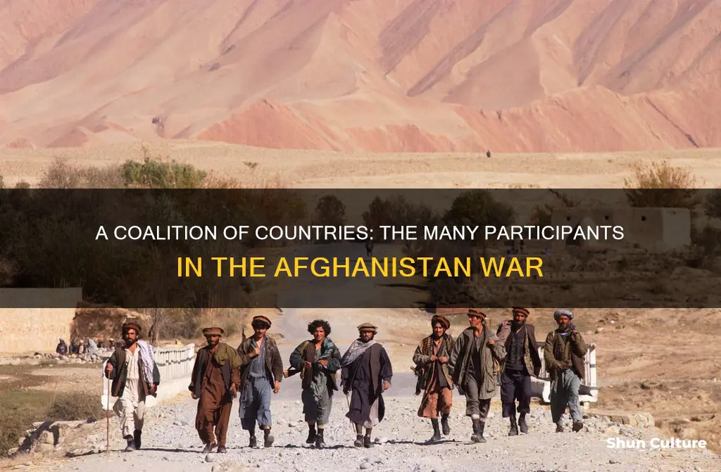 how many countries are in afghanistan war