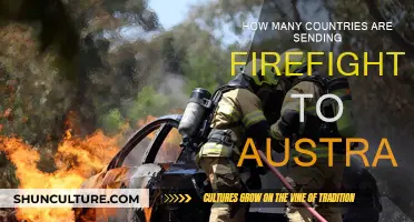 Firefighting Aid for Australia: Global Response
