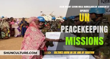 Bangladesh's Global Peacekeeping Efforts: Current UN Mission Countries
