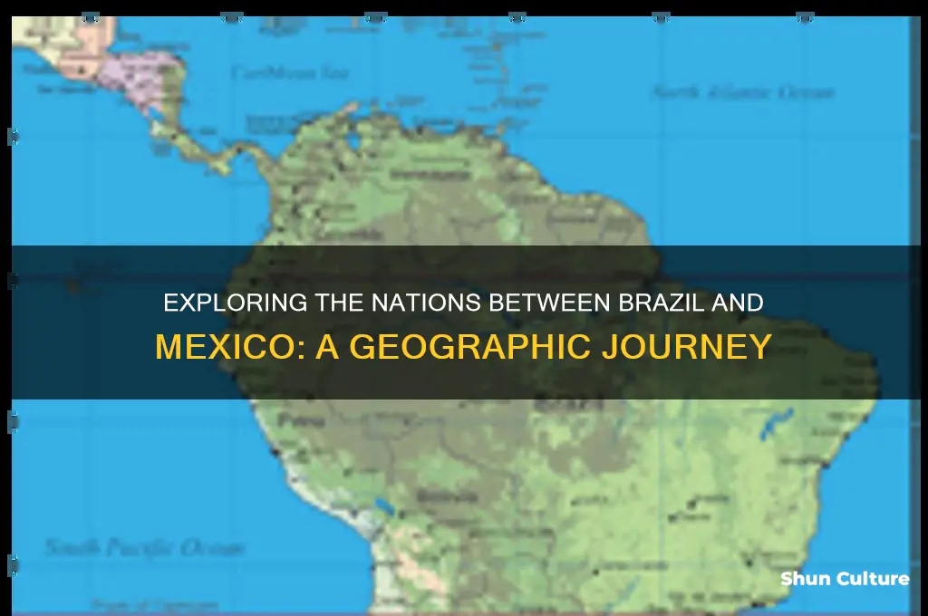 how many countries between brazil and mexico