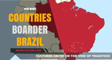 Exploring Brazil's Borders: How Many Countries Share Its Boundaries?