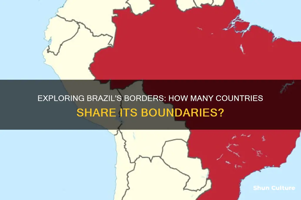 how many countries boarder brazil
