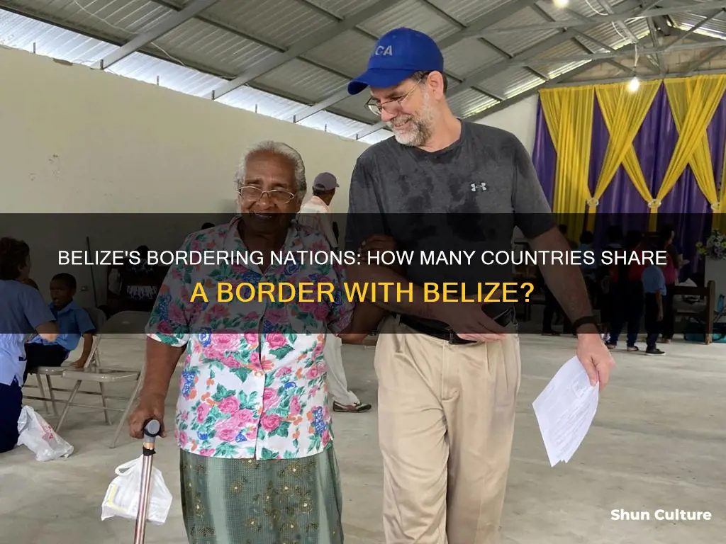 how many countries border belize