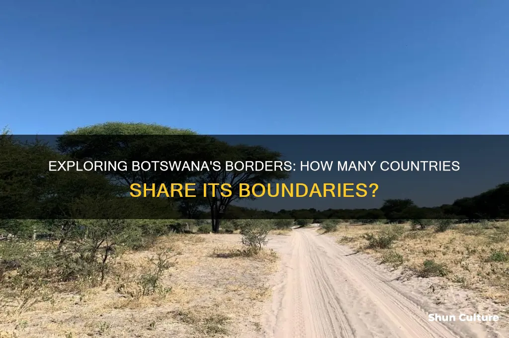 how many countries border botswana