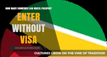 Brazil Passport Power: Visa-Free Entry to Numerous Countries Revealed