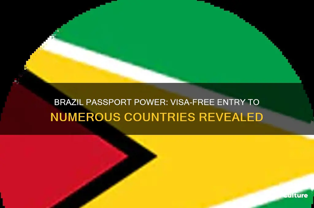 how many countries can brazil passport enter without visa