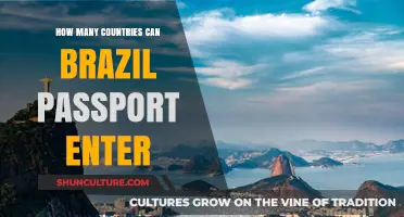 Exploring the World: Brazil Passport's Visa-Free Travel Destinations