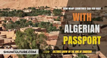 Exploring the World: Visa-Free Destinations for Algerian Passport Holders