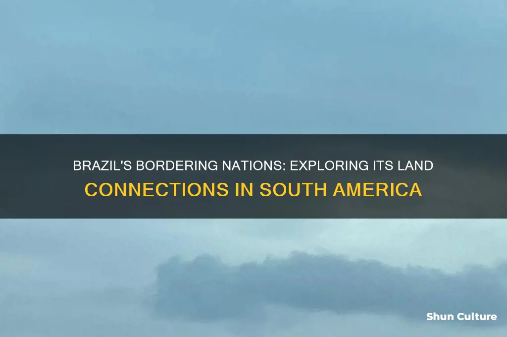 how many countries does brazil border