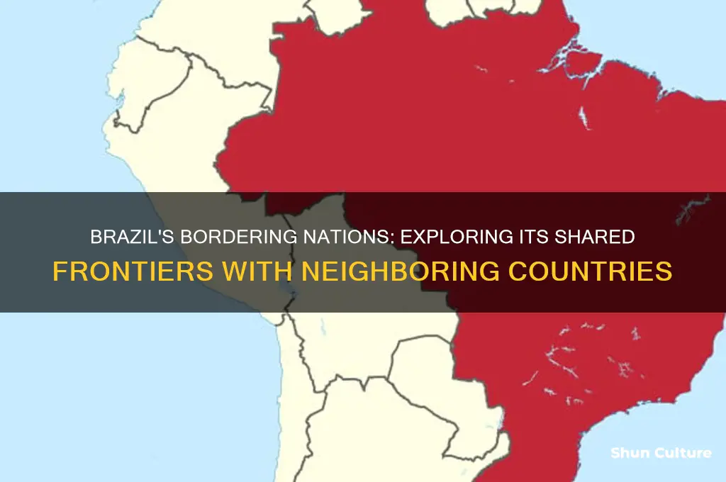 how many countries does brazil have frontiers with
