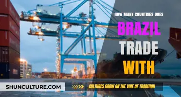 Brazil's Global Trade Network: Exploring Its International Partnerships and Reach
