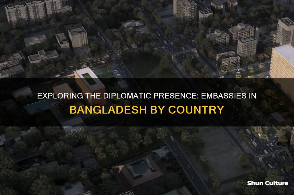 how many countries embassy in bangladesh