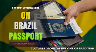 Exploring Global Access: Brazil Passport Entry Across Countries