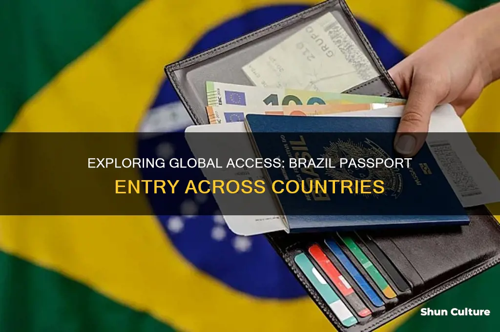 how many countries entry on brazil passport