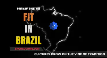 Exploring Brazil's Size: How Many Countries Fit Within Its Borders?