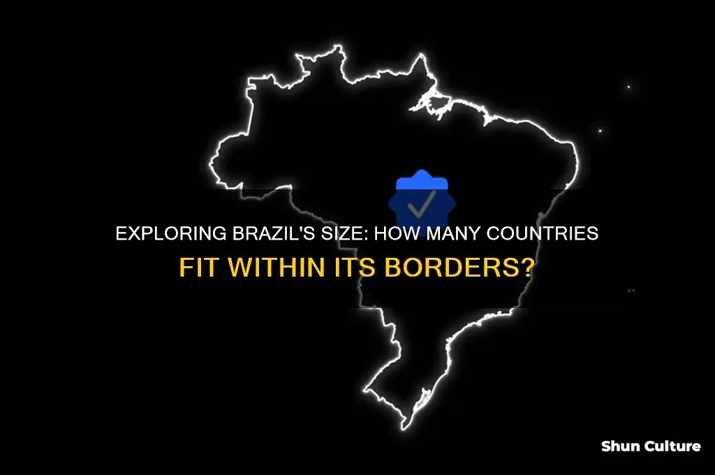 how many countries fit in brazil