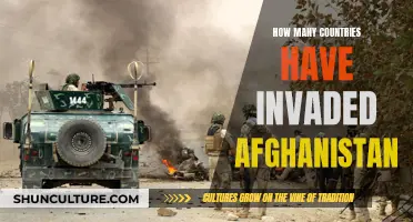 Invasion of Afghanistan: A History of Foreign Interference