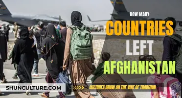 The Great Abandonment of Afghanistan: A Global Retreat