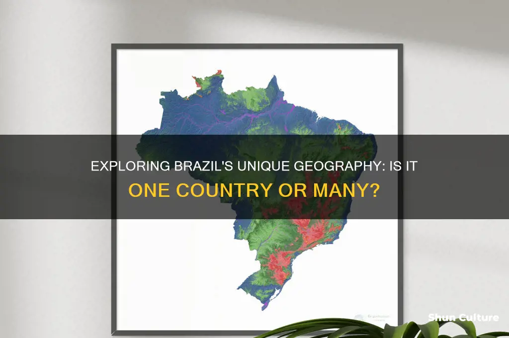 how many countries make up brazil