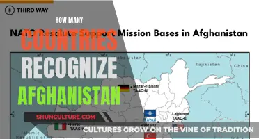 **Global Recognition of Afghanistan's Government: A Complex Issue** 