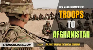 A Global Coalition: The Multinational Force in Afghanistan