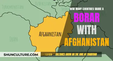 Bordering Nations: Exploring Afghanistan's Neighbors and Their Unique Relationships