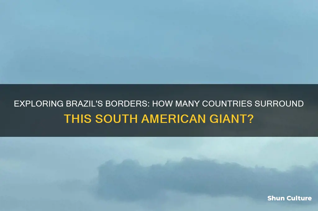 how many countries surround brazil