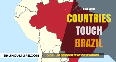Exploring Brazil's Borders: How Many Countries Share Its Boundaries?