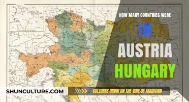 AUSTRO-HUNGARY'S Fragmented Empire: A Look at Its Many Countries