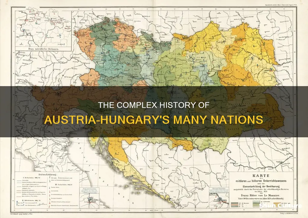 how many countries were in austria hungary
