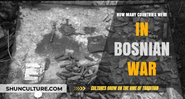 The Bosnian War: How Many Nations Were Involved?