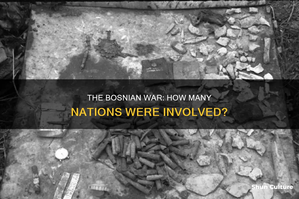 how many countries were in bosnian war