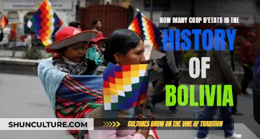 Bolivia's History of Coup D'etats: A Count