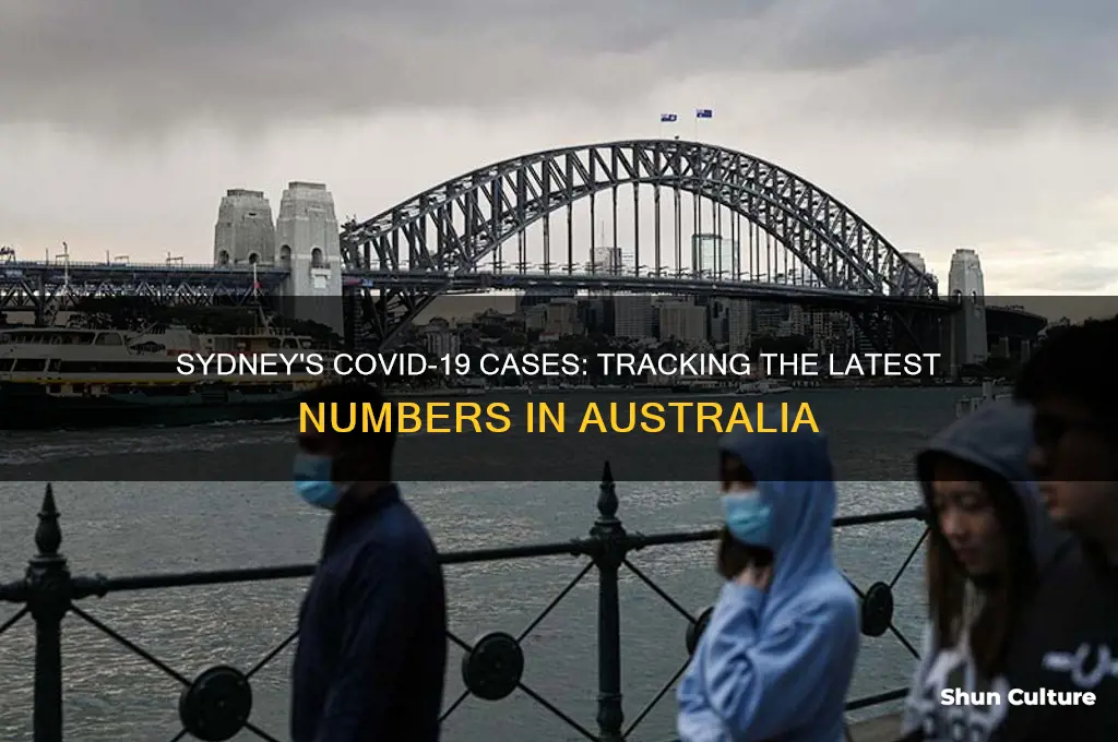 how many covid 19 cases in sydney australia