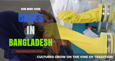 COVID-19 in Bangladesh: Tracking the Latest Case Numbers and Trends