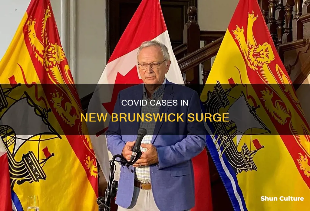 how many covid cases in new brunswick