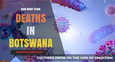 Botswana's COVID-19 Death Toll: Understanding the Impact and Statistics