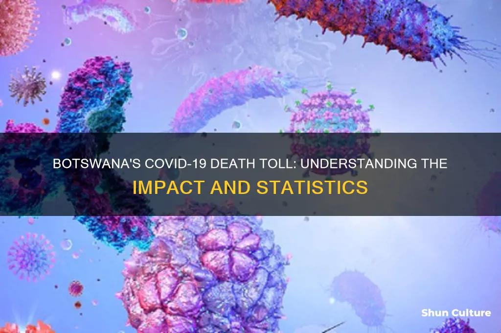how many covid deaths in botswana