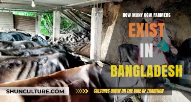 Exploring Bangladesh's Dairy Sector: Counting Cow Farmers in the Country
