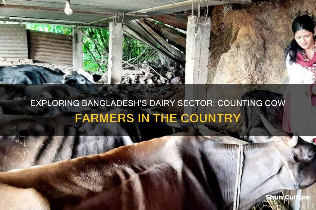 how many cow farmers exist in bangladesh