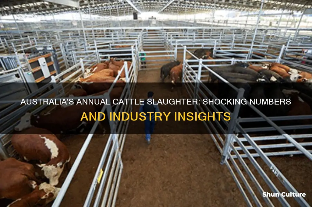 how many cows are killed each year in australia