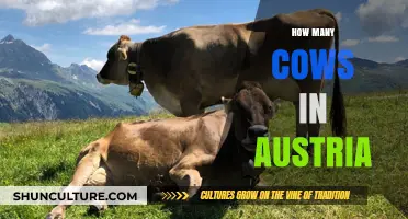 Exploring Austria's Dairy: A Look at the Country's Cow Population