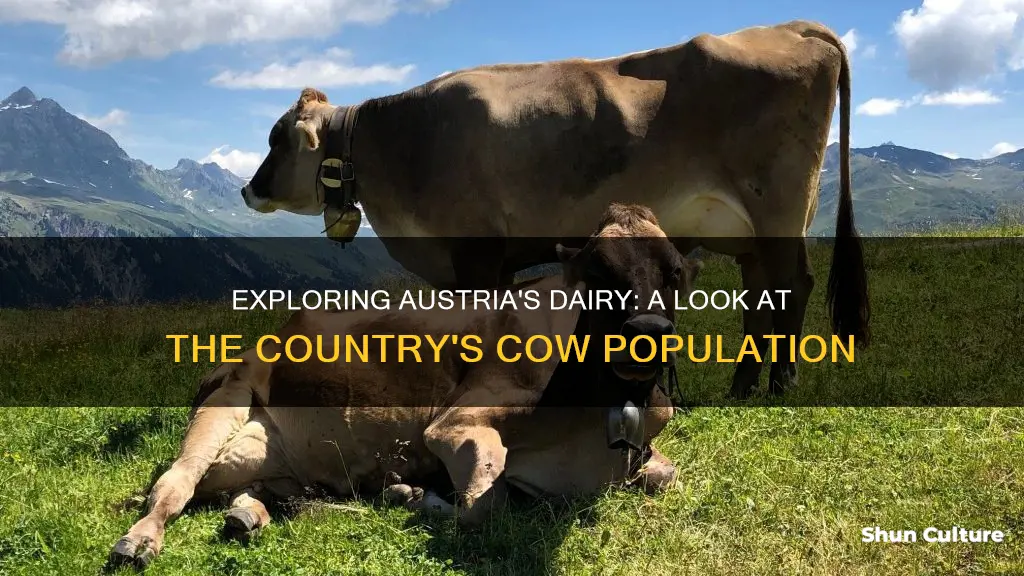 how many cows in austria