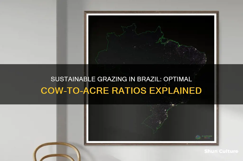 how many cows to the acre in brazil