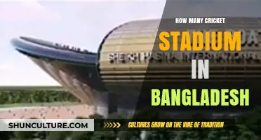 Exploring Bangladesh's Cricket Stadiums: A Comprehensive Count and Overview