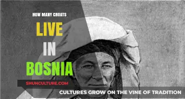 Croats in Bosnia: Population Insights and Cultural Presence Today